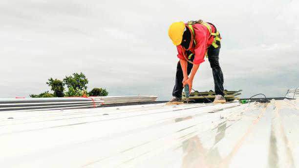 Fast & Reliable Emergency Roof Repairs in Edgemont Park, MI